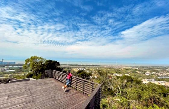通霄旅遊景點 通霄旅遊景點
