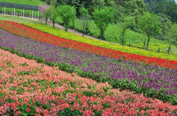 桃園親子農場 桃園親子農場