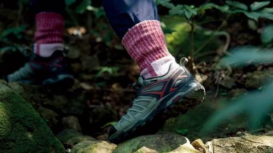 台灣螢火蟲景點 台灣螢火蟲景點