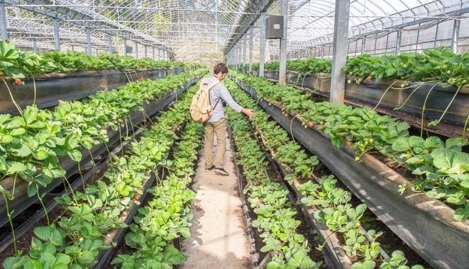 新竹休閒農場 新竹休閒農場