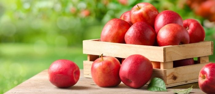 史上最大規模研究蘋果 史上最大規模研究蘋果