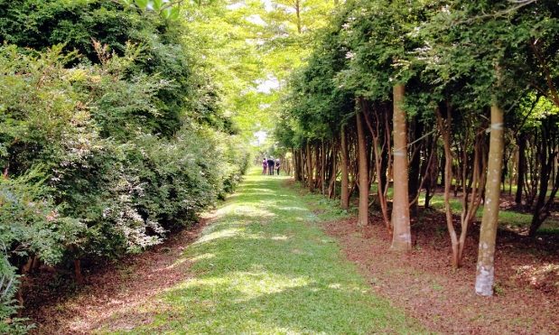 桃園農場推薦 桃園農場推薦