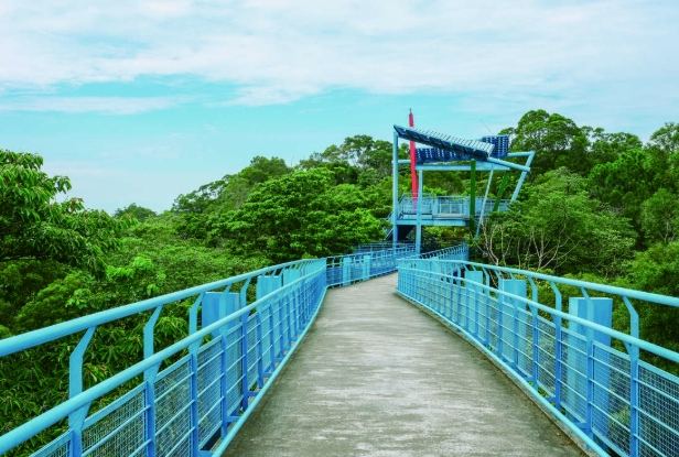 銅鑼旅遊攻略 銅鑼旅遊攻略