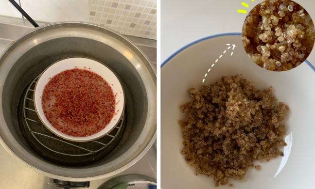 紅藜飯做法 紅藜飯做法