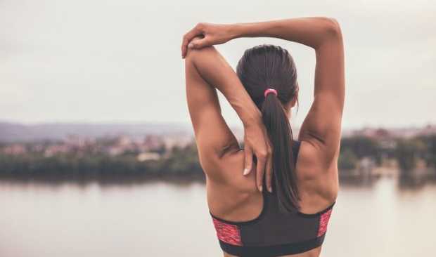 健身美背訓練 健身美背訓練