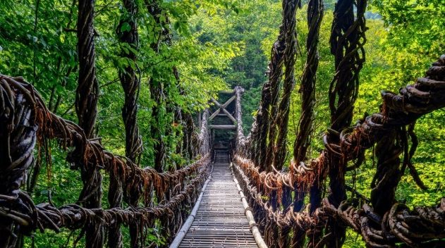 藤蔓橋附近餐廳