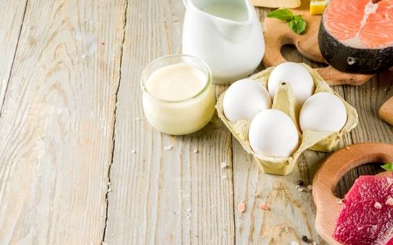 減脂飲食 減脂飲食