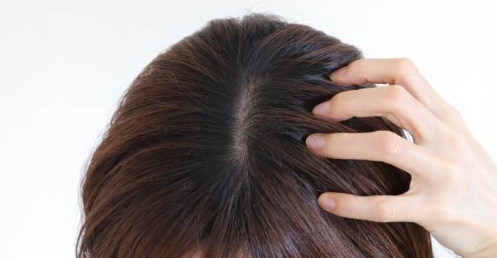 頭髮變細吃什麼