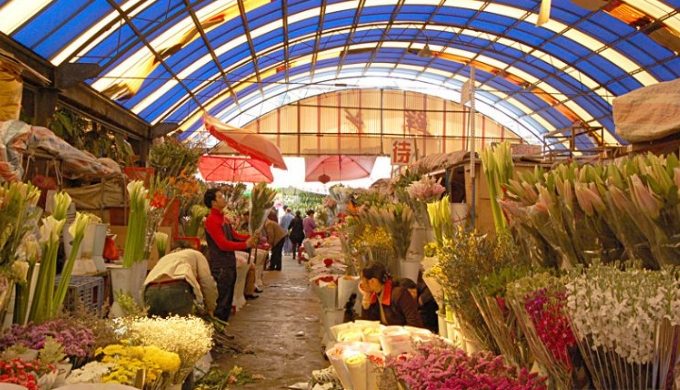 斗南花市营业时间