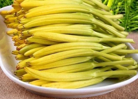 黃花菜健康益處 黃花菜健康益處