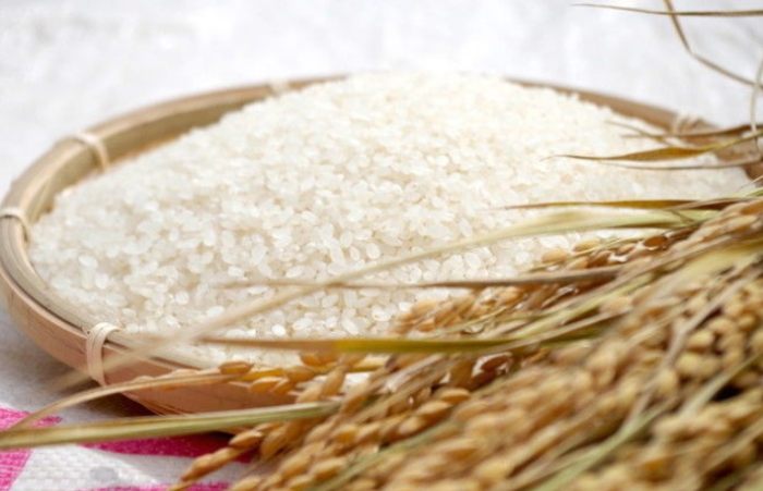 生米可以冷凍嗎