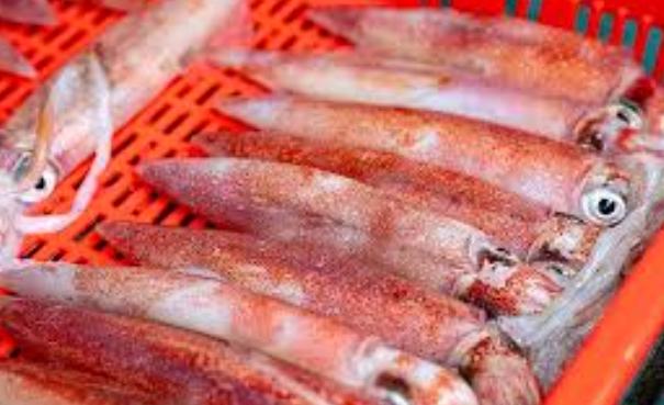 澎湖必買 澎湖必買