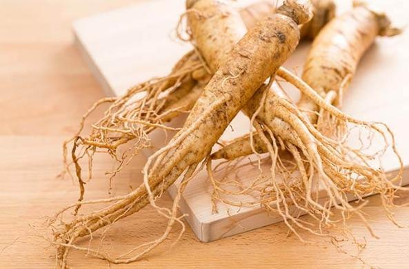 鮮人參副作用 鮮人參副作用