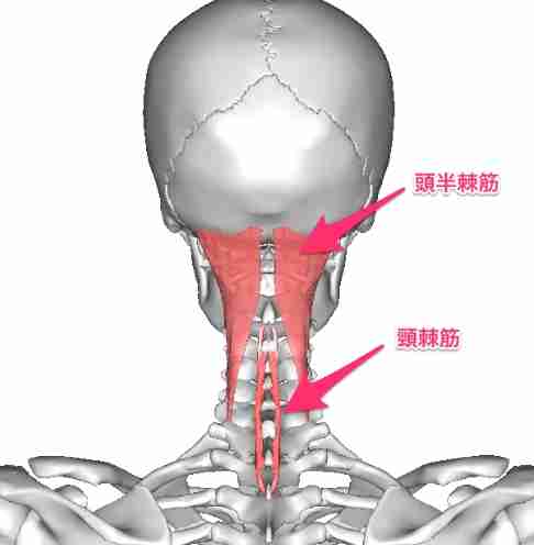 頸部腫塊原因 頸部腫塊原因