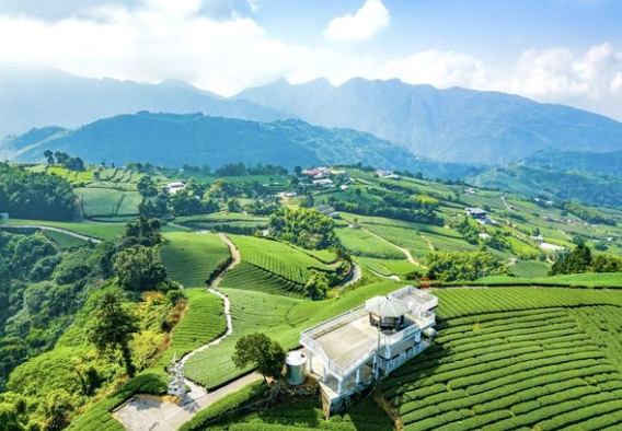 嘉義最新景點 嘉義最新景點