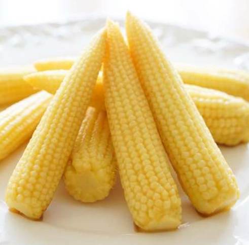 玉米筍可以冷凍嗎