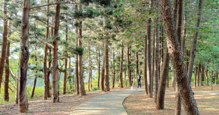 中壢隱藏景點 中壢隱藏景點