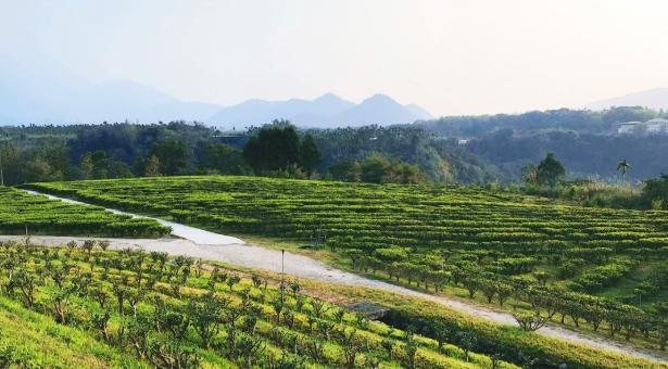 南投渡假村 南投渡假村