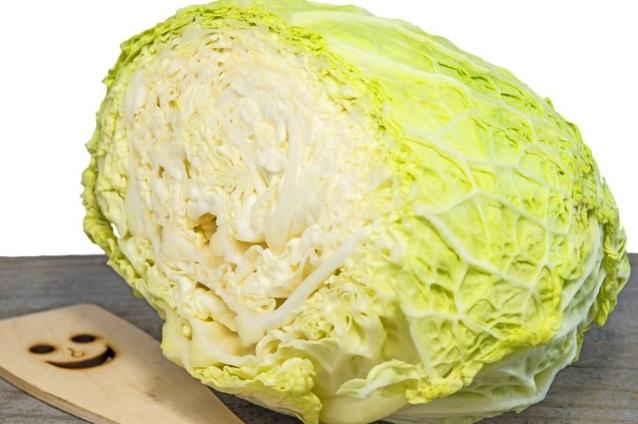 高麗菜軟掉可以吃嗎