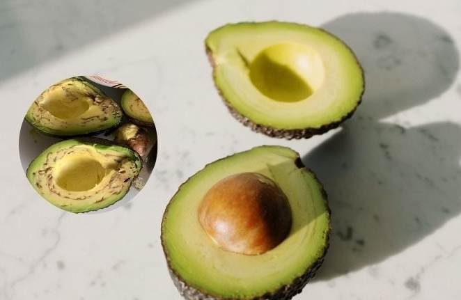 牛油果黑絲製作 牛油果黑絲製作