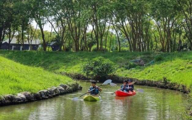 柳營景點推薦 柳營景點推薦