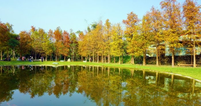 新竹關西免費景點