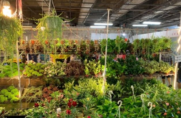 桃園花市比較 桃園花市比較