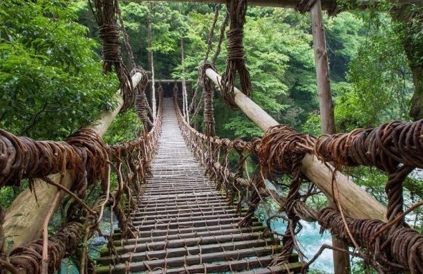 祖谷藤蔓橋美食