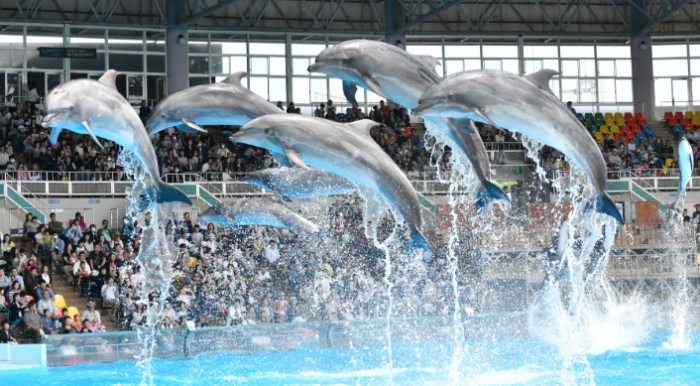 和歌山家庭景點