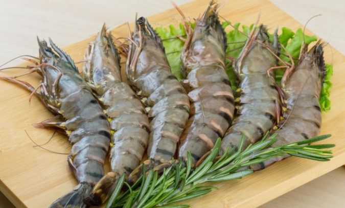 生蝦子冷藏可以放多久