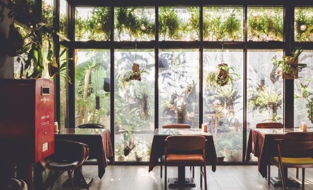 秘境咖啡廳推薦 秘境咖啡廳推薦