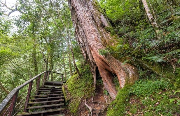 桃園景點推薦 桃園景點推薦
