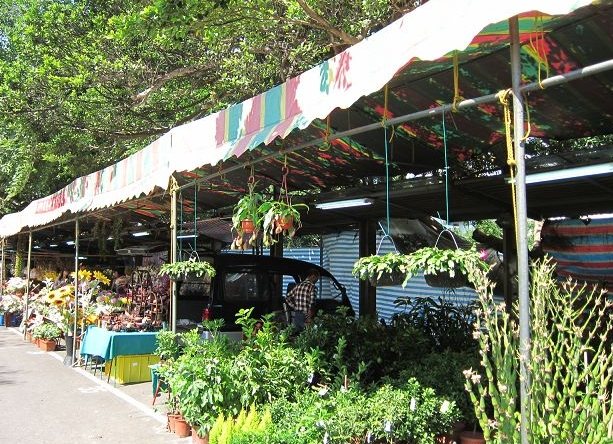 竹北花市 交通 竹北花市 交通