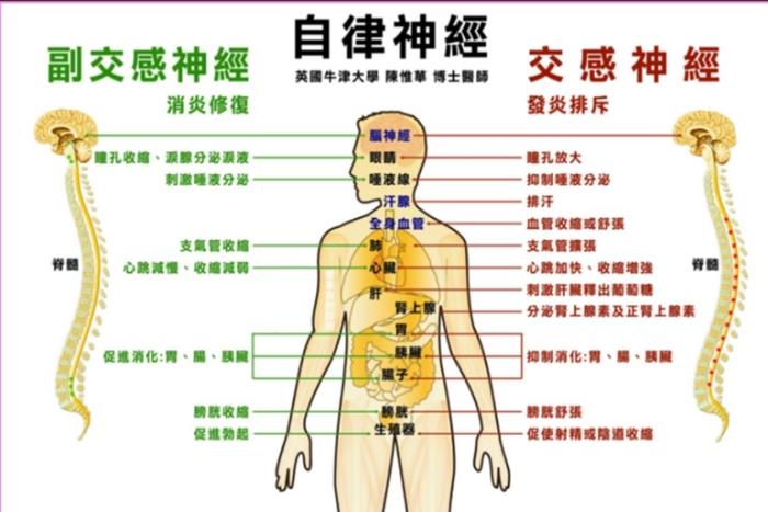自律神經失調原因