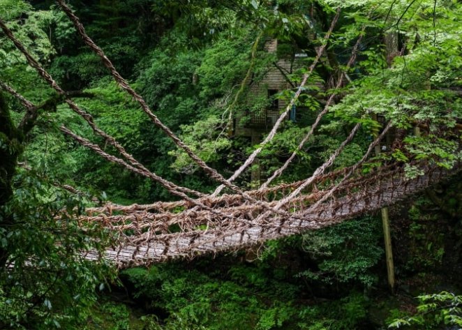 德島祖谷蔓橋攻略 德島祖谷蔓橋攻略