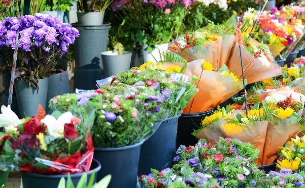 桃園花市比較 桃園花市比較