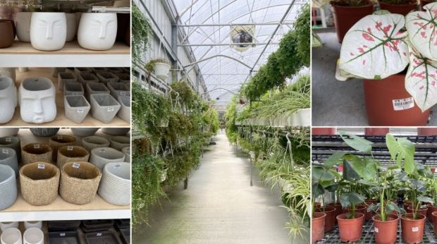 竹北花市 交通 竹北花市 交通