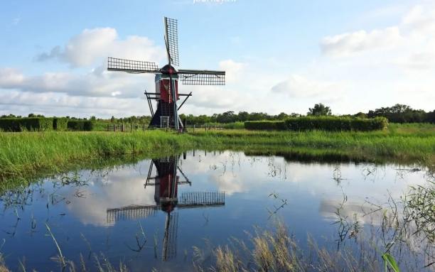 柳營景點 柳營景點