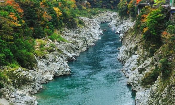 大步危交通 大步危交通