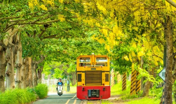 橋頭糖廠交通 橋頭糖廠交通