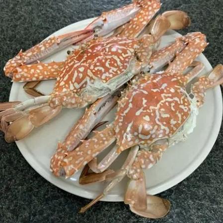 花蟹蒸煮時間 花蟹蒸煮時間