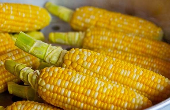 玉米可以冷凍保存嗎