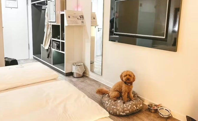 台中市區寵物友善住宿