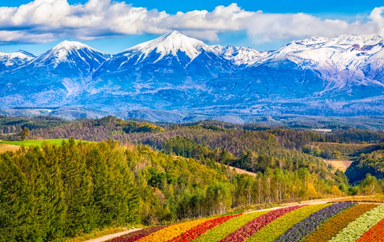 北海道交通替代