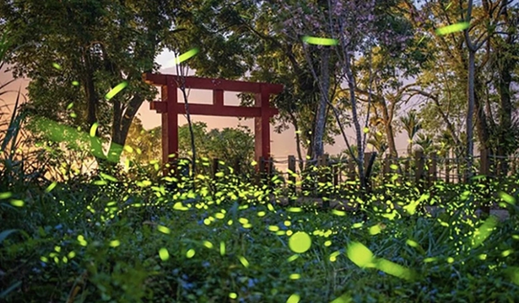 那瑪夏步道推薦