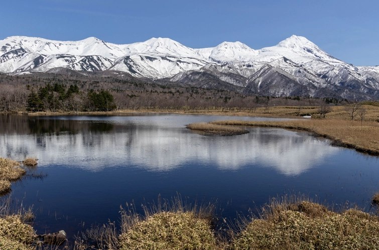 北海道自駕規則