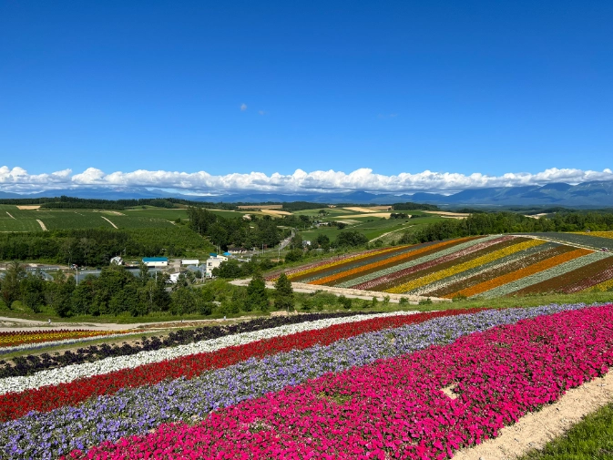北海道租車攻略