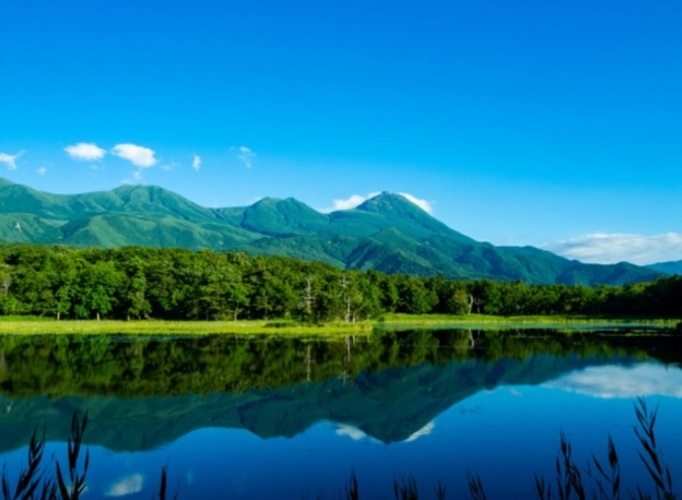 北海道自駕遊限制