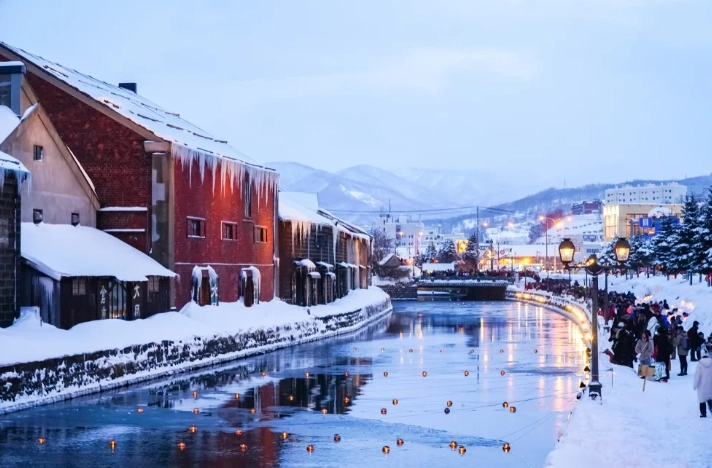 自驾游替代方案