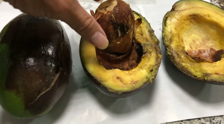 如何判斷酪梨好壞